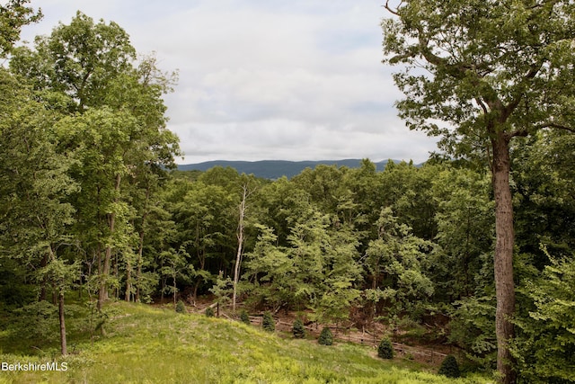 49 Sky Top Rd, Copake, NY 12516 - photo 3