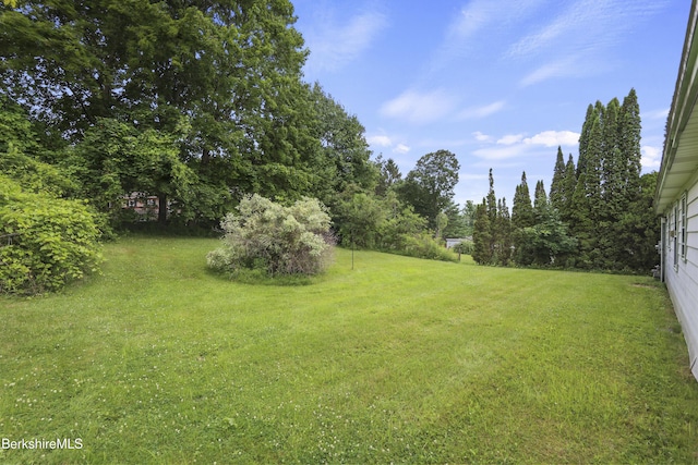 72 Meadowview Dr, Pittsfield, MA 01201 - photo 20