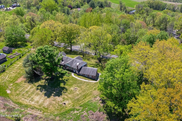 drone / aerial view of a heavily wooded area