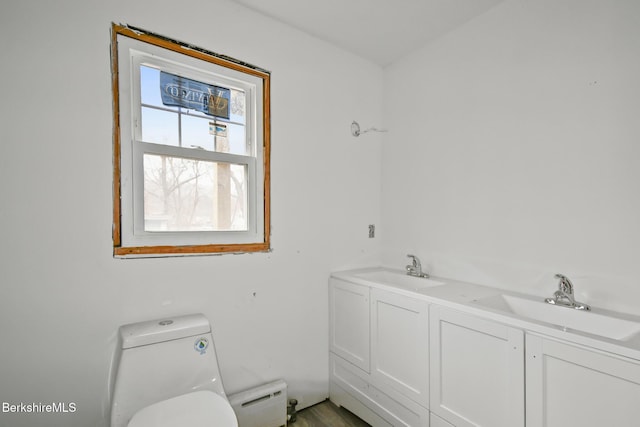 111 Columbia St, Adams, MA 01220 - bathroom with toilet, double sink, and a baseboard heating unit