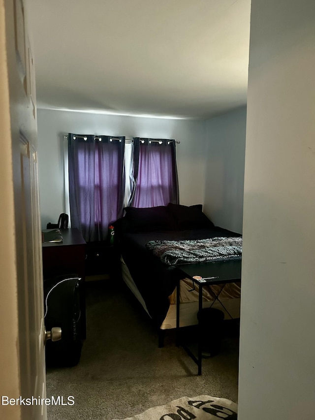 89-91 N Summer St, Adams, MA 01220 - bedroom with carpet floors