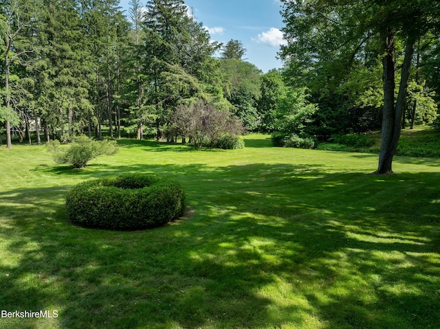 221 Bulkley St, Williamstown, MA 01267 - photo 84