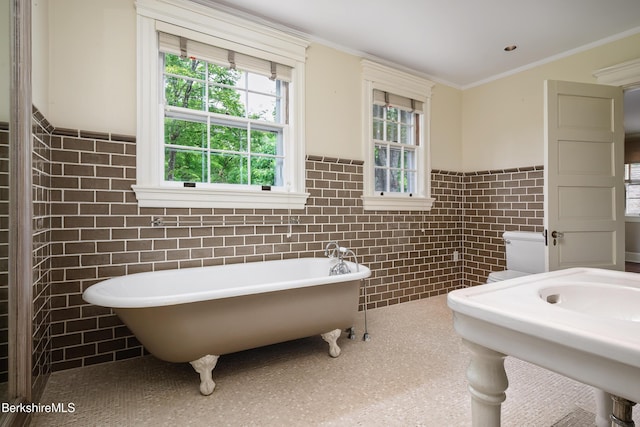 221 Bulkley St, Williamstown, MA 01267 - photo 65