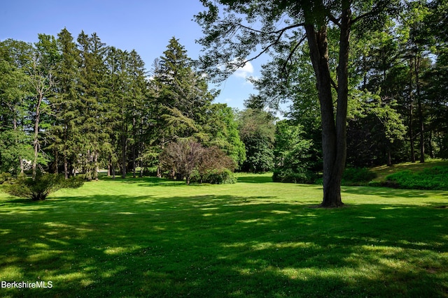 221 Bulkley St, Williamstown, MA 01267 - photo 82