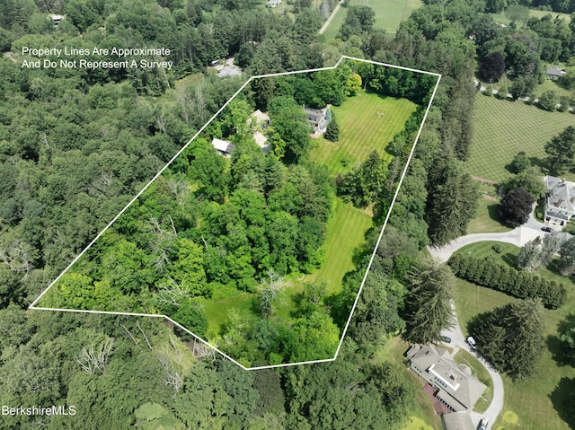 221 Bulkley St, Williamstown, MA 01267 - photo 87