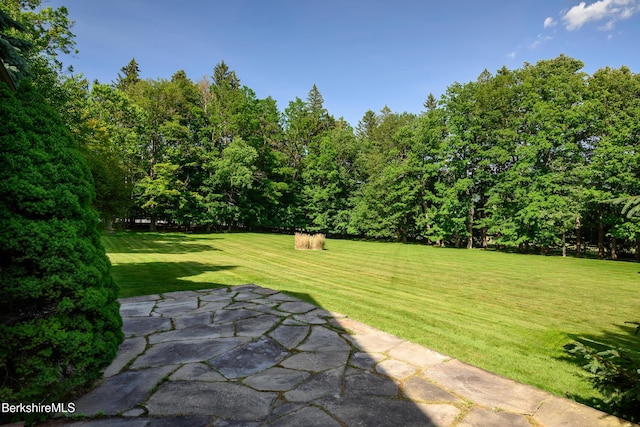 221 Bulkley St, Williamstown, MA 01267 - photo 80
