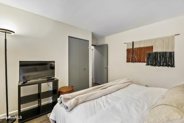 bedroom with wood-type flooring and a closet