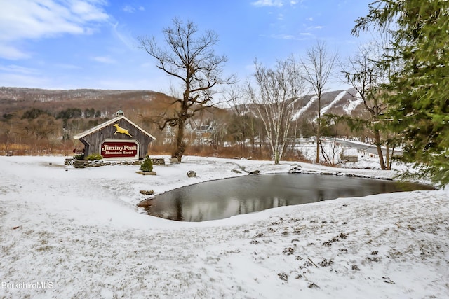 yard layered in snow with a mountain view