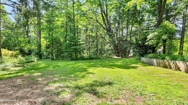55 Main St, Stockbridge, MA 01262 - photo 50
