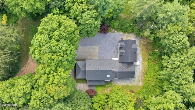 55 Main St, Stockbridge, MA 01262 - photo 51