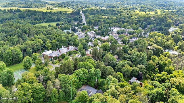 55 Main St, Stockbridge, MA 01262 - photo 53