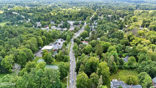 55 Main St, Stockbridge, MA 01262 - photo 52