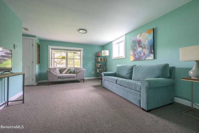 2 Wallace Rd Dh-B, Unit Dh-B Stockbridge, MA 01262 - carpeted living area featuring baseboards