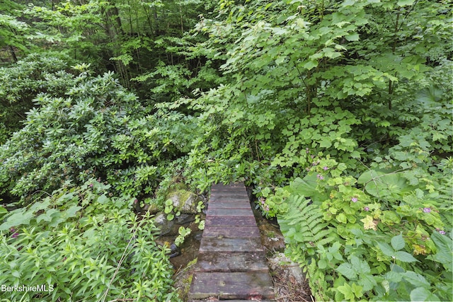 8 Luther Shaw Rd, Cummington, MA 01026 - photo 39