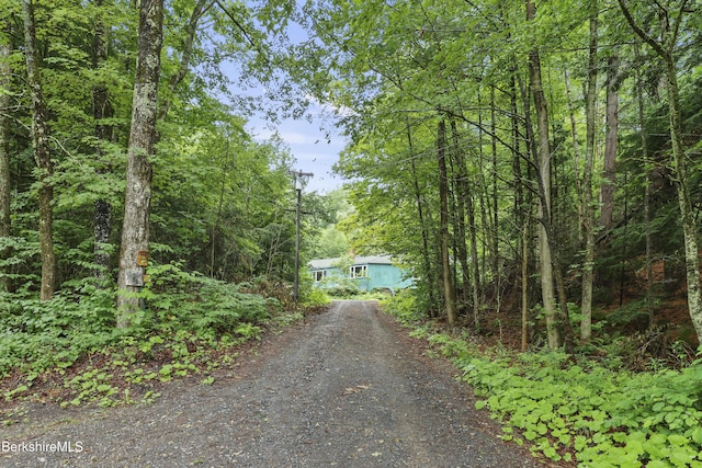 8 Luther Shaw Rd, Cummington, MA 01026 - photo 2