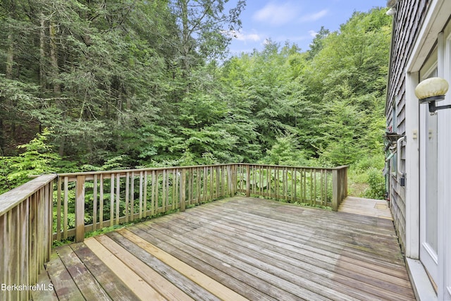 8 Luther Shaw Rd, Cummington, MA 01026 - photo 30