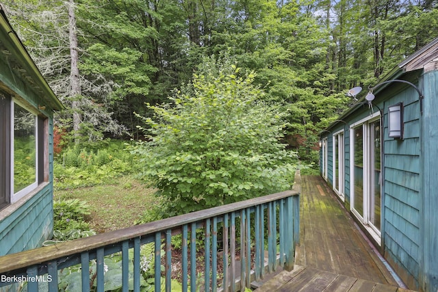 8 Luther Shaw Rd, Cummington, MA 01026 - photo 18