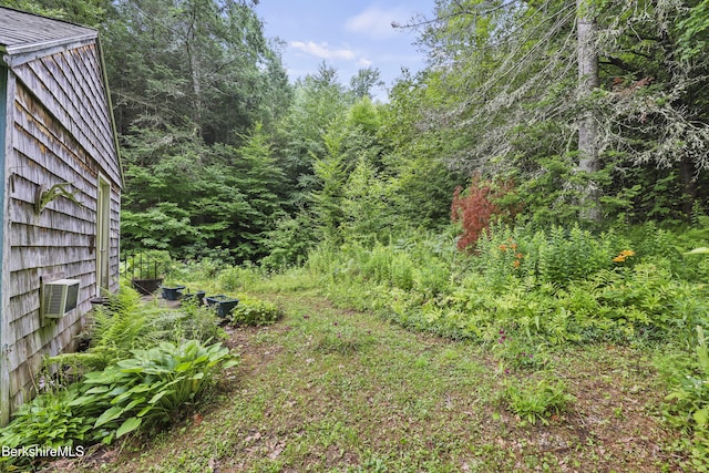 8 Luther Shaw Rd, Cummington, MA 01026 - photo 37