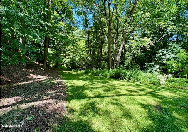 260 Pittsfield Rd Unit B-5, Lenox, MA 01240 - photo 11