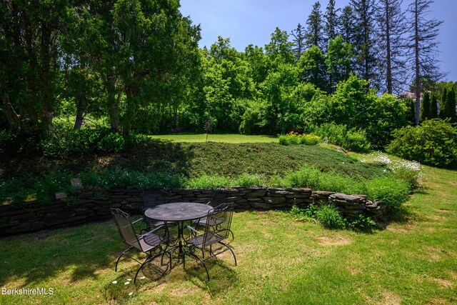 40 Crandall St, Adams, MA 01220 - view of grassy yard