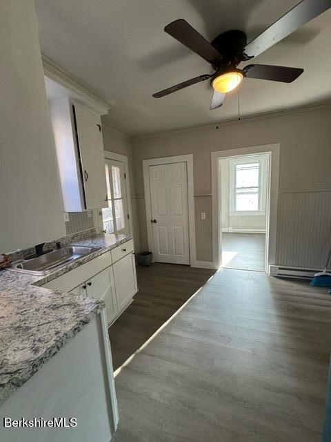 kitchen featuring white cabinetry, sink, crown molding, and dark hardwood / wood-style floors