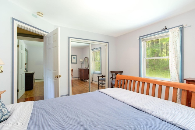 662 Foley Rd, Sheffield, MA 01257 - bedroom with wood finished floors, multiple windows, and a closet