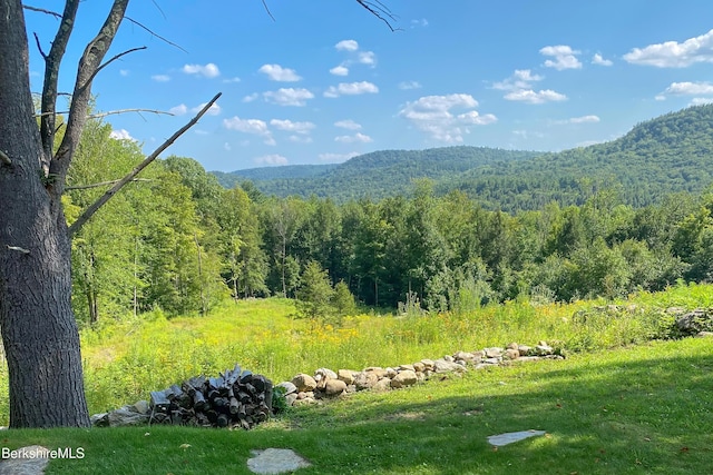 property view of mountains with a wooded view