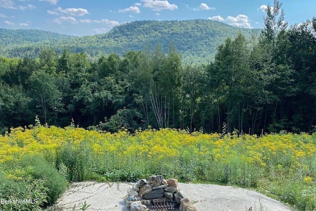 view of mountain feature featuring a view of trees