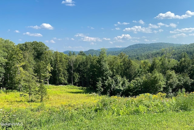 view of mountain feature featuring a view of trees