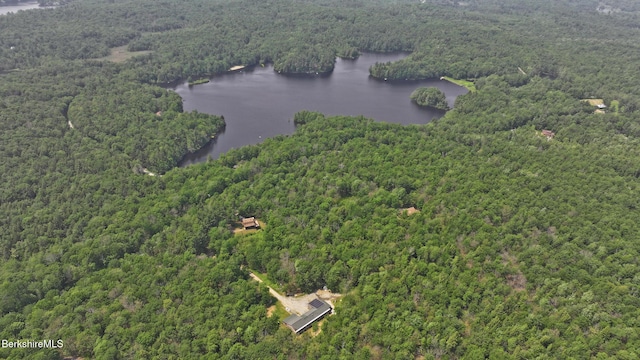 233 Algerie Rd, Becket, MA 01223 - aerial view of property and surrounding area featuring a forest and a large body of water