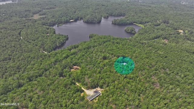 233 Algerie Rd, Becket, MA 01223 - drone / aerial view of a heavily wooded area and a large body of water