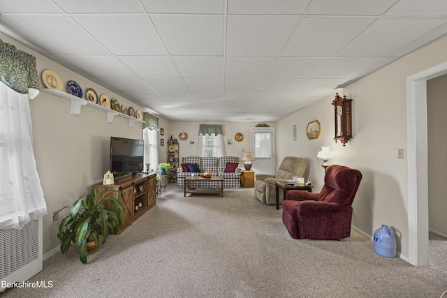 15 Summit Ave, Adams, MA 01220 - living area featuring carpet flooring and a paneled ceiling