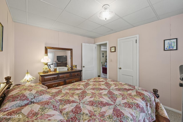 15 Summit Ave, Adams, MA 01220 - bedroom with a paneled ceiling and carpet