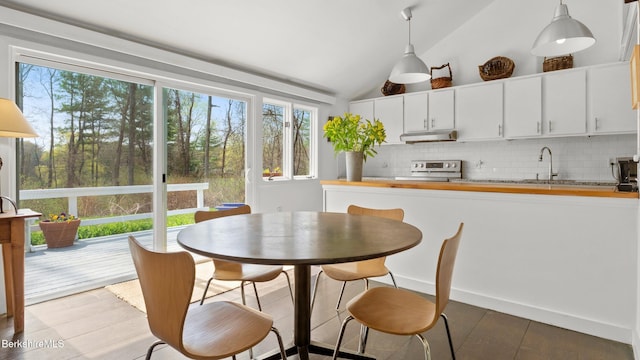 interior space featuring under cabinet range hood, electric range, vaulted ceiling, and plenty of natural light