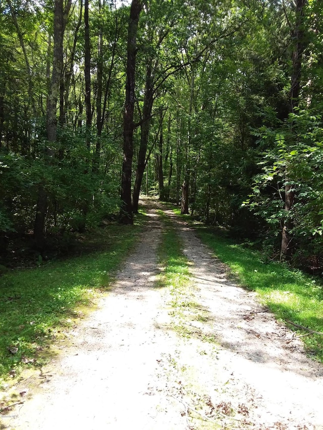 view of road