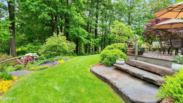 13 Taconic Ave, Lenox, MA 01240 - view of green lawn featuring a wooden deck and outdoor dining area