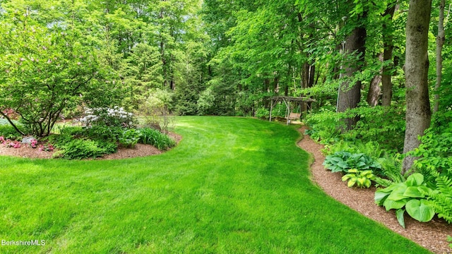 13 Taconic Ave, Lenox, MA 01240 - view of grassy yard