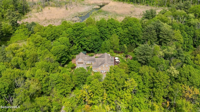 13 Taconic Ave, Lenox, MA 01240 - view from above of property with a forest