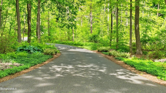 13 Taconic Ave, Lenox, MA 01240 - view of street featuring a wooded view