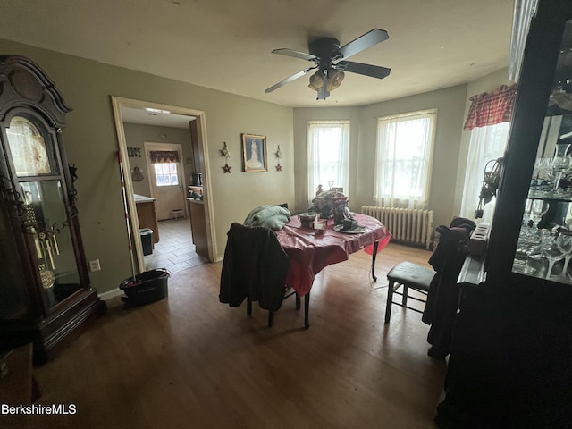 dining room featuring radiator heating unit, hardwood / wood-style flooring, and ceiling fan