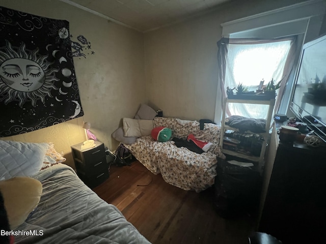 bedroom featuring wood-type flooring