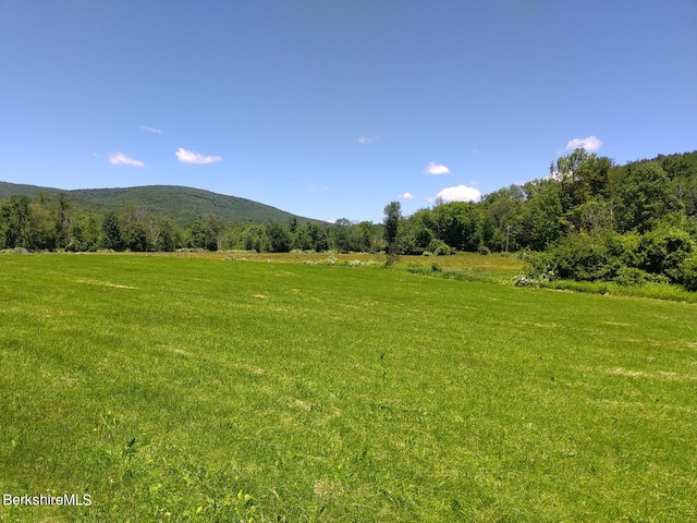 0 Old Ore Bed Rd, Lanesborough, MA 01237