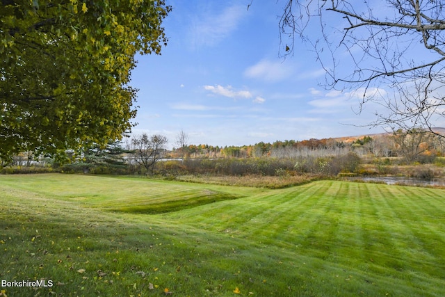 659 Pecks Rd, Pittsfield, MA 01201 - photo 47