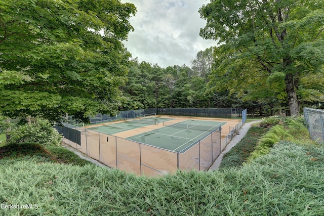 171 Lake Shore Dr, Otis, MA 01253 - view of tennis court
