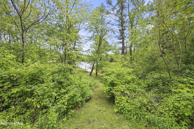 171 Lake Shore Dr, Otis, MA 01253 - view of nature
