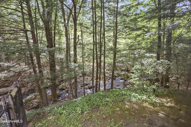 171 Lake Shore Dr, Otis, MA 01253 - view of tree filled area