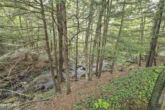 171 Lake Shore Dr, Otis, MA 01253 - view of tree filled area