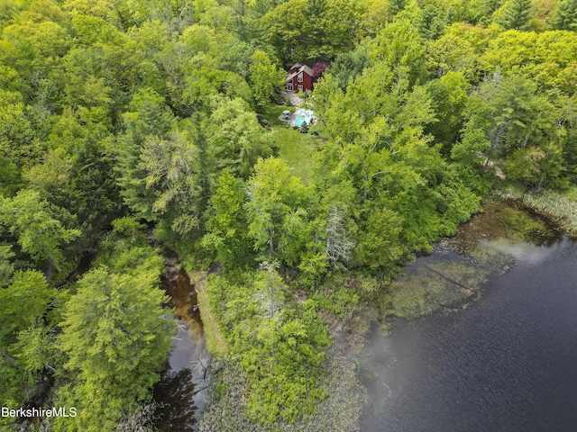 171 Lake Shore Dr, Otis, MA 01253 - drone / aerial view of a heavily wooded area and a nearby body of water