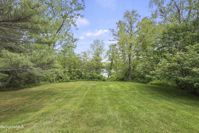 171 Lake Shore Dr, Otis, MA 01253 - view of green lawn