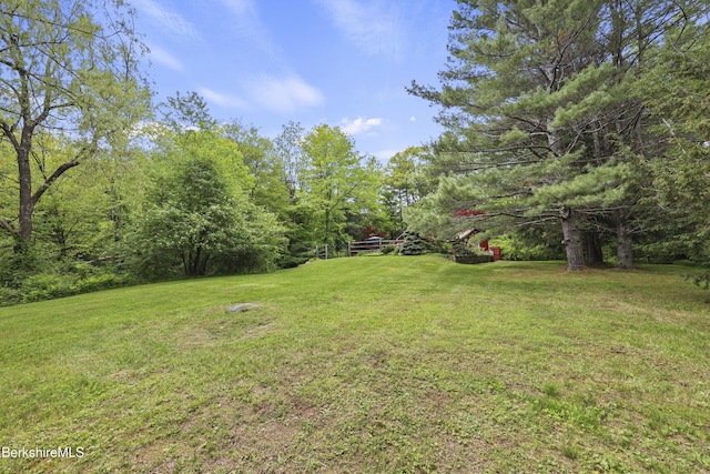 171 Lake Shore Dr, Otis, MA 01253 - view of grassy yard